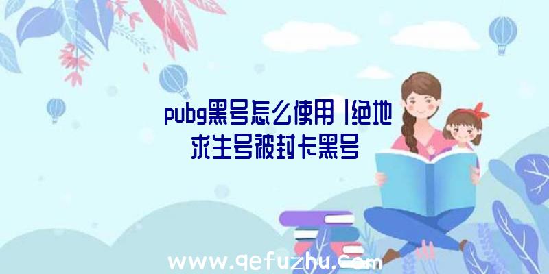 「pubg黑号怎么使用」|绝地求生号被封卡黑号